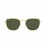 RAY-BAN RB-3857 FRANK-9196/31-51